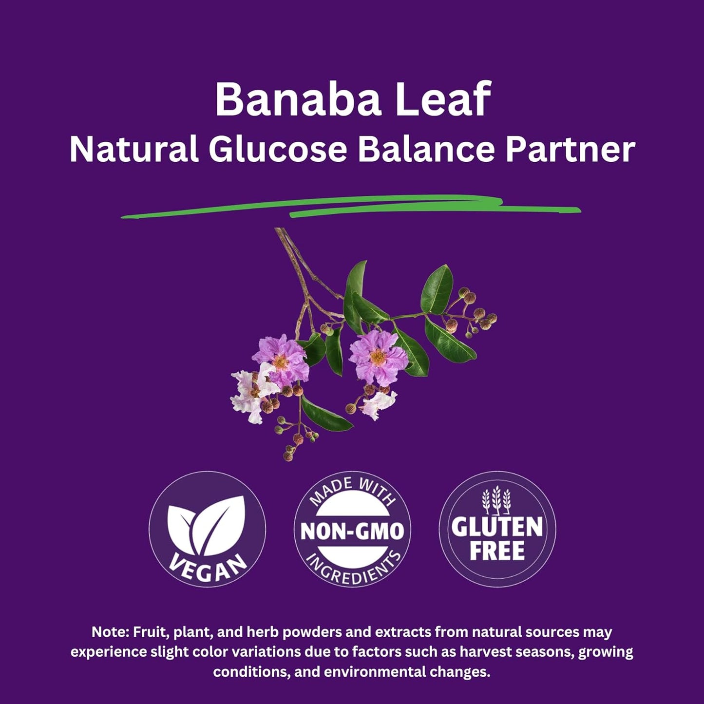 Banaba Leaf Extract